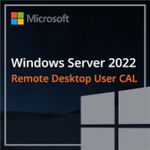 רישיון Microsoft Windows Server 2022 1 Client User CAL 1Pac